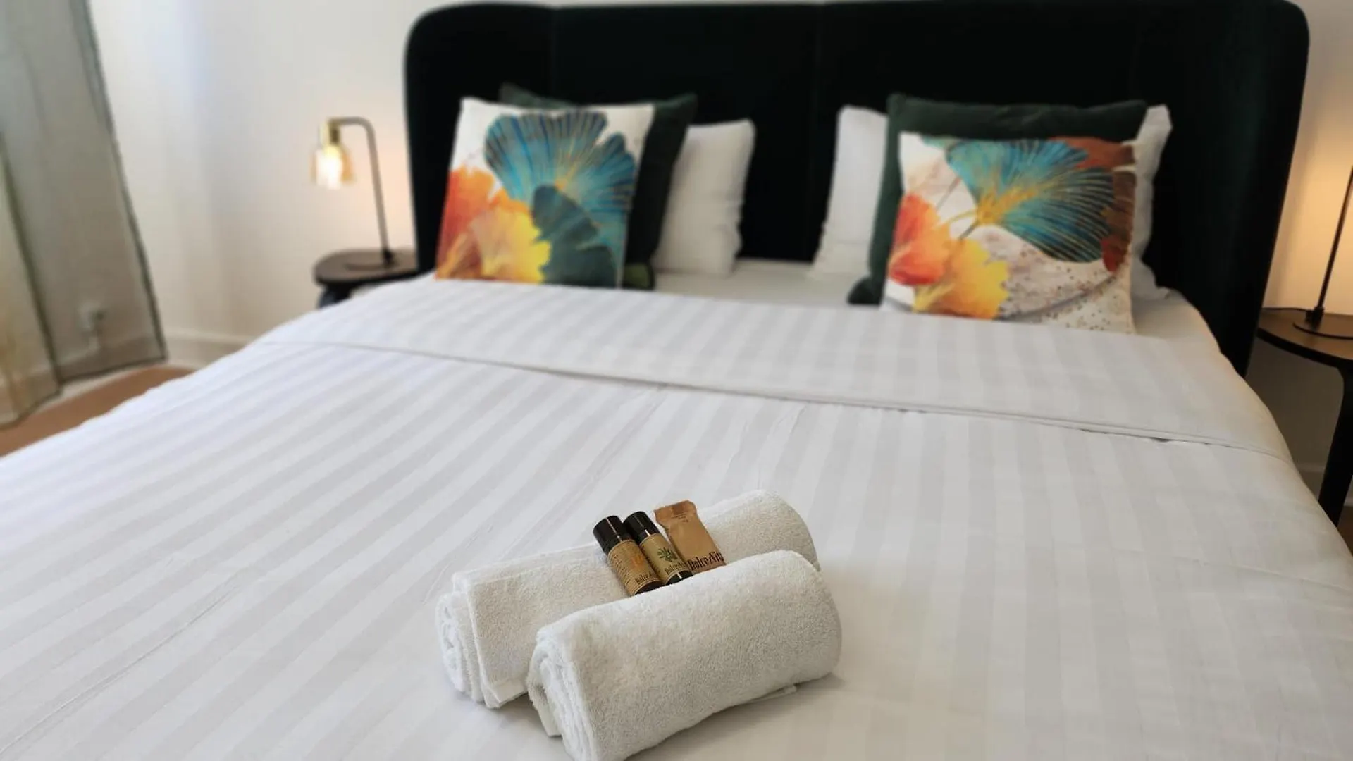 Le Tolstoi Chic Apartment Villeurbanne France