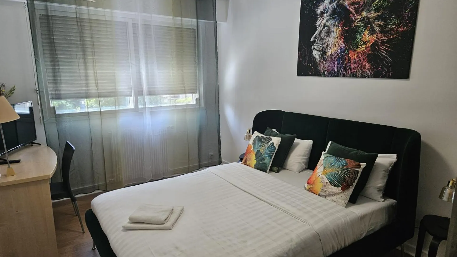 Le Tolstoi Chic Apartment Villeurbanne France